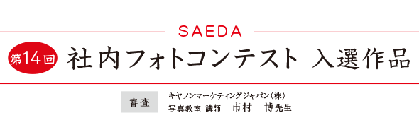 SAEDA 第13回 社内フォトコンテスト 入選作品
